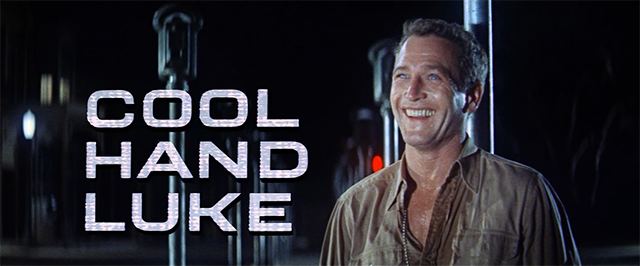 cool hand luke, la leyenda del indomable,Paul Newman,cine, películas