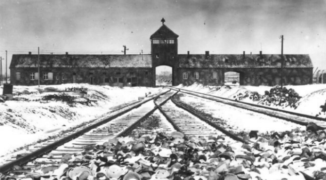Memoria e Historia del Holocausto